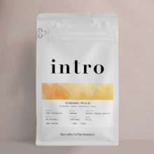 pina 2 pouch bag@0.5x@0.5x