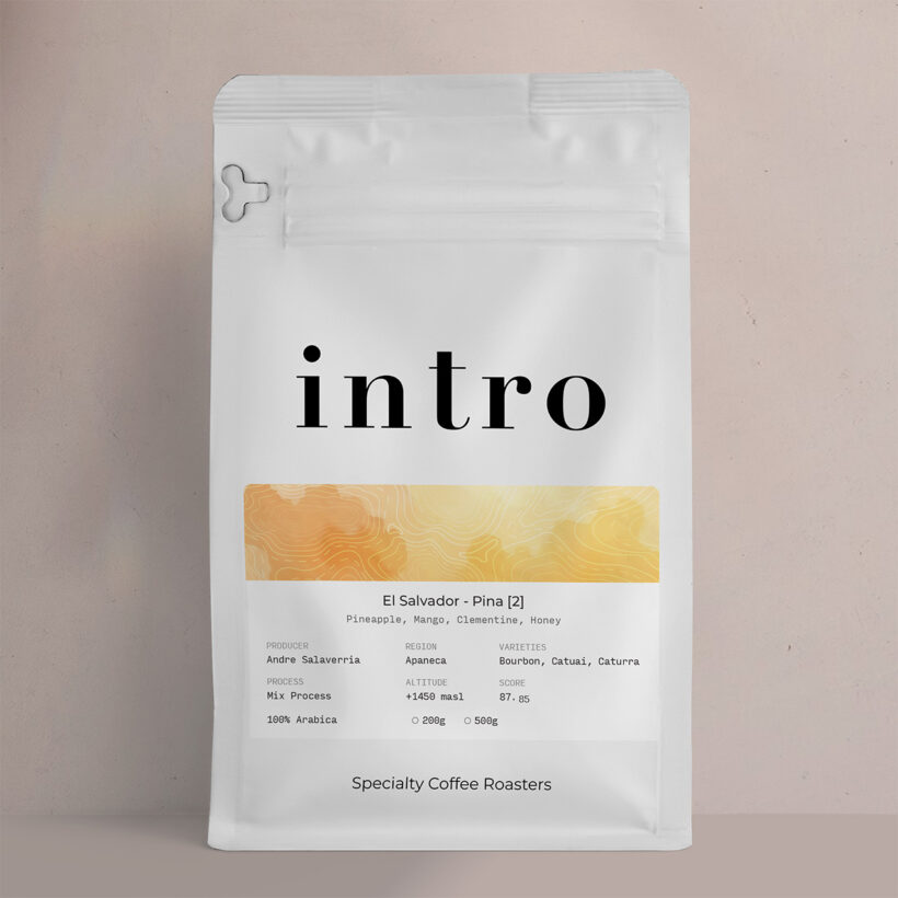 pina 2 pouch bag@0.5x@0.5x