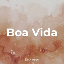 Boa Vida Cover