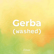 Gerba Cover-min